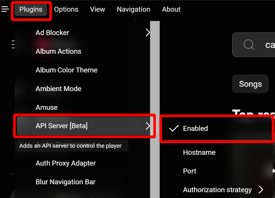 API Server Enabled